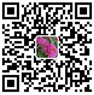 易游米乐